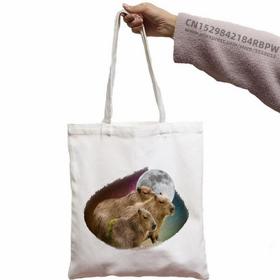 Capybara Cute Animal Cartoon Poșeta simplă din pânză pentru chei Cute Cartoon Geantă Lady Geantă Monede