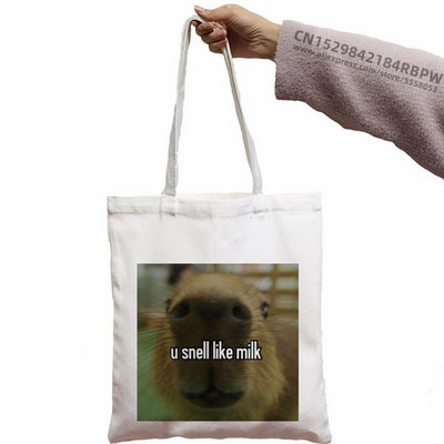 Capybara Cute Animal Cartoon Poșeta simplă din pânză pentru chei Cute Cartoon Geantă Lady Geantă Monede