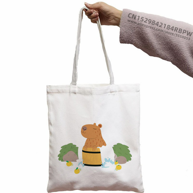 Capybara Cute Animal Cartoon Poșeta simplă din pânză pentru chei Cute Cartoon Geantă Lady Geantă Monede
