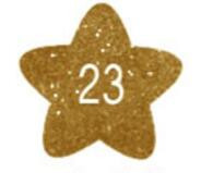 Bling Višebojna kaligrafska kist olovka Wink Marker Čestitka DIY kist marker 24 boje olovke za natpise