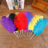 Knjiga gostiju od nojevog pera Pero za svatove Prekrasan dar Olovka s potpisom Olovka od perja Olovka od perja Kemijska olovka