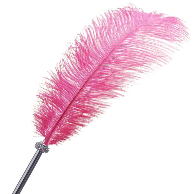 1 KOM Pernata kemijska olovka od nojevog pliša, simpatične uredske metalne olovke s potpisom u 6 boja, romantični uredski materijal, dar, uredski materijal