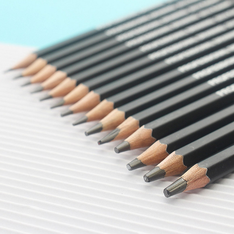 Set od 14 komada Olovka za crtanje Umjetnik Učenici Skica Portret Pisanje Crna drvena olovka 12B-6H