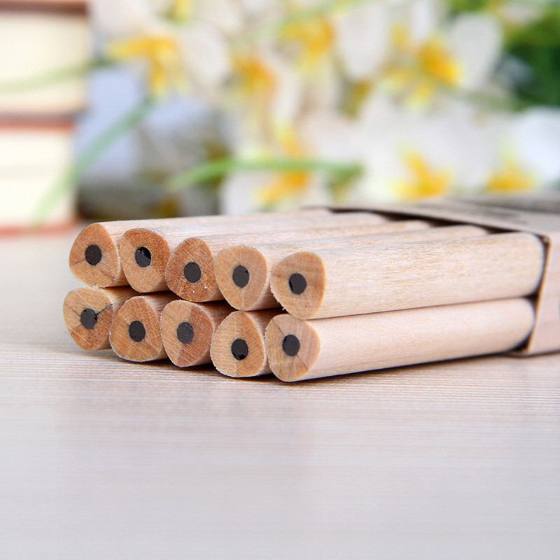 10 komada novih ekološki prihvatljivih HB olovaka prikladnih za učenike da pišu slikajući drvene olovke za učenje uredskog pribora