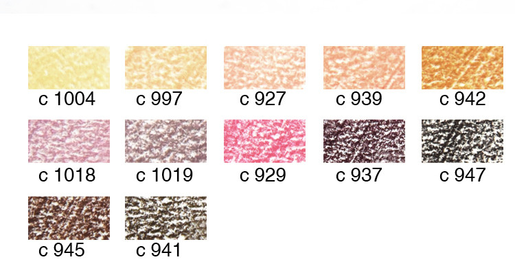 Boja kože 12 komada Olovke u boji Olovka za crtanje na bazi ulja Umjetnik početnik Bojanka Crtanje Skiciranje Art Set za portrete