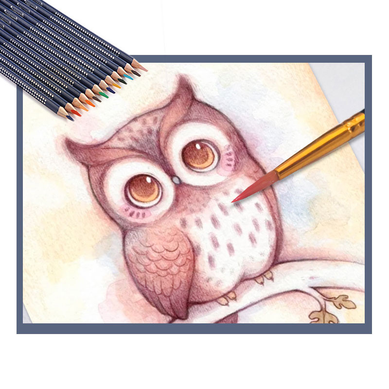 Set de 12 culori Acuarela Creioane Desen Schiță Artă Pictură Pensule Hnadle Comic Graffiti Creion colorat din lemn cu cutie metalică