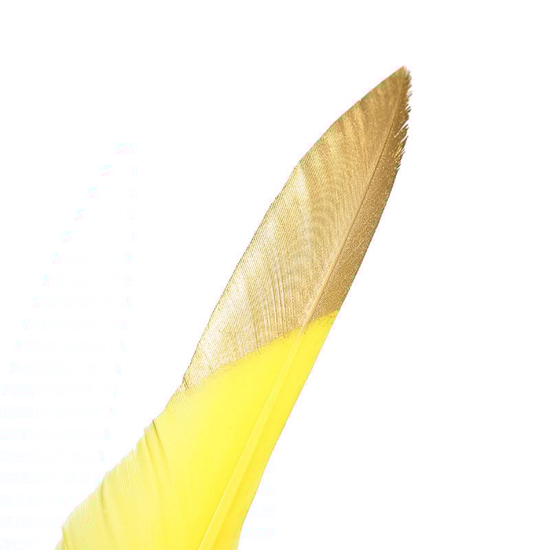 Halloweeni jõulude reklaamkingitus, veekastmispliiats, kontorikalligraafia komplekt, sulgede pliiats