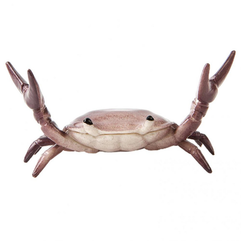 Jednostavan za držanje. Korisni držač za olovke za dizanje utega Simulacija držača za olovke za rakove u svijetlim bojama za studente