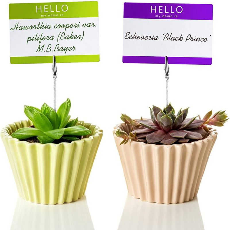 50/10 vnt darbalaukio puošmena Spalvingas kubas stovas Vielinis stalinis kortelės užrašas Atmintinė Nuotraukų spaustukų laikiklis Stalas Vieta Pirmenybė Biuro reikmenims