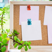 30 tk Väikese karu nööpnõelad koos korktahvliga fototeadetetahvlite pöidlaklambrid pulmafoto seinakaunistus Y3NC