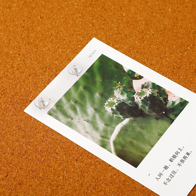 Läbipaistvad tihvtid Väikesed plastikust pöidlakinnitused terasest otsaga ja läbipaistvast plastikust peaga tihvtid korkplaadi jaoks