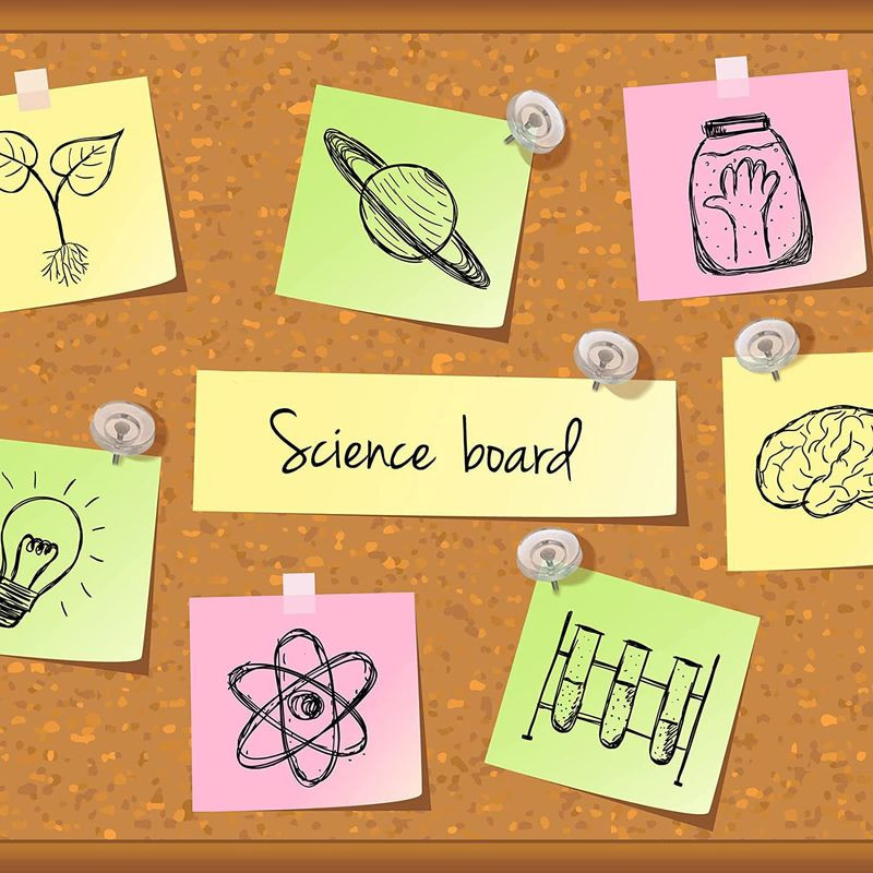 50 kom/kutija Prozirne pribadače pribadače pribadače pribadače mape plutene ploče pribadače za crtanje foto zidne pribadače uredski školski pribor