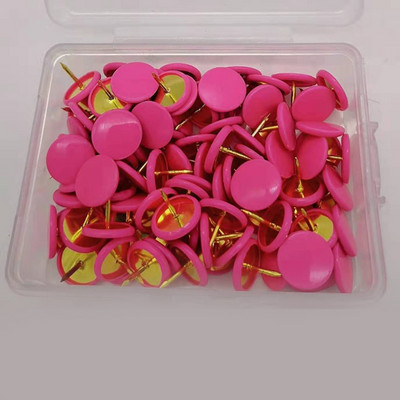 100 de bucăți de ace de desen colorate pentru birou, pentru acasa