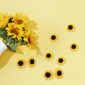 30 komada Suncokreti Push Pin Zidna Oglasna Ploča Čavli Ured Škola