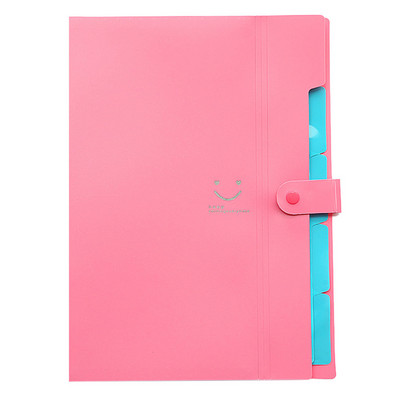 10 spalvų kiliminės dangos vandeniui atsparūs biuro plastikiniai aplankai kelių kišenių tvarkyklės A4 failo išplėtimo dokumentų aplankų segtuvai