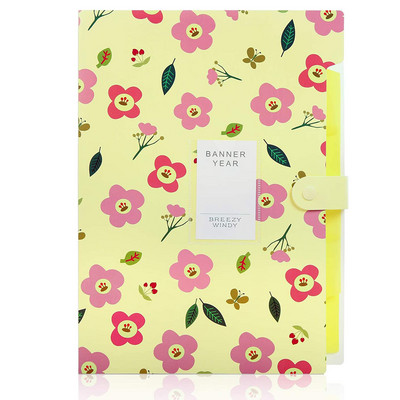 Proširiva mapa s datotekama Harmonika, organizator datoteka sa 6 džepova, mapa s dokumentima, US Letter i A4 za školu, ured