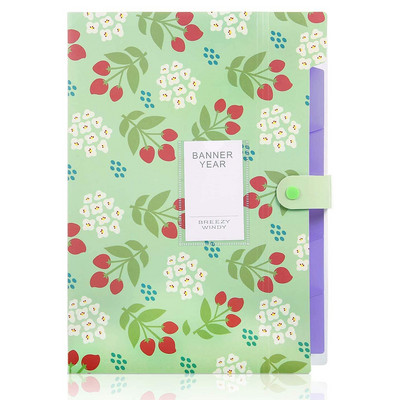 Proširiva mapa s datotekama Harmonika, organizator datoteka sa 6 džepova, mapa s dokumentima, US Letter i A4 za školu, ured