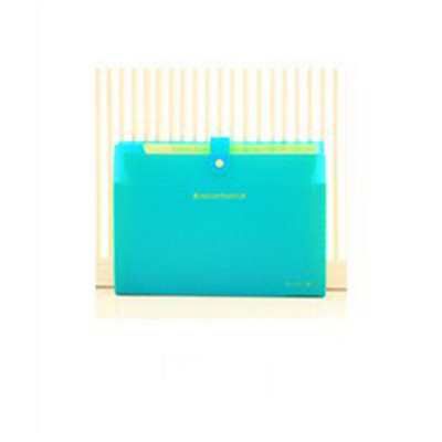 Proširivi dokumenti, organizator mape s datotekama, mape s 8 džepova, veličina A4, zatvaranje s pritiskom na gumb r20