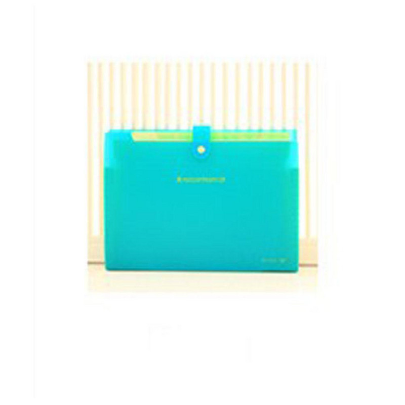 Proširivi dokumenti, organizator mape s datotekama, mape s 8 džepova, veličina A4, zatvaranje s pritiskom na gumb r20