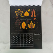 2023 Jednostavan zidni kalendar Tjedni mjesečni planer Dnevni red Organizator Kućni ured Viseći zidni kalendar Planer dnevnog rasporeda