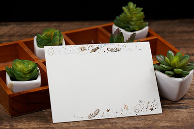 Senovinis bronzinis plunksnų vokas Gležna gitara Bling Auksiniai vokai Laiškų rinkinys Meilė Prisipažinkite merginai dovanų laiškų popieriai