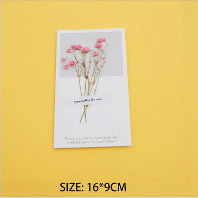 10 τεμ. Λουλούδια με αποξηραμένα λουλούδια Προσκλητήριο Κενό DIY Ημέρα των Ευχαριστιών Γενέθλια Χειρόγραφες ευχετήριες κάρτες