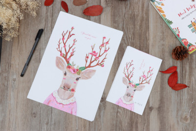 Set papira za 6 pisama + 3 omotnice, pisma za ispovijed jelena šafranike, pozivnice za vjenčanje, pribor za memorandume za ljubavno pisanje