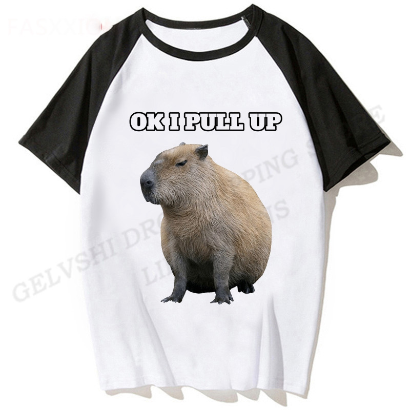 Capybara 3D Print Marškinėliai berniukams Merginoms Madingi marškinėliai Vaikiški Hip Hop Top Marškinėliai Capybara marškinėliai Juokingi hiphopo Camiseta gyvūnų marškinėliai