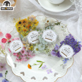 „Mr.paper“ 2 stilių 40 vnt. / maišelis Šviežių gėlių lipdukai Stilius Mieli rankiniai sąskaita Medžiaga Lipdukai Dekoratyviniai raštinės reikmenų lipdukai