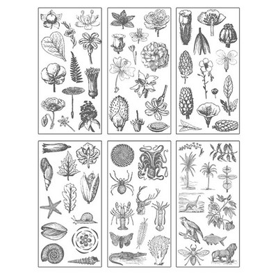 6 loksnes/iepakojumā Karikatūra Cat Washi papīra uzlīme Kawaii žurnāla uzlīmes Scrapbooking ikdienas plānotājs Kancelejas piederumi