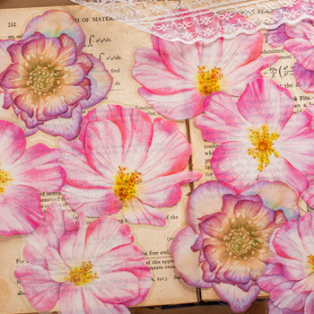 10 τμχ Διαφανές PET Vintage φυτικά λουλούδια Αυτοκόλλητα με κρύσταλλο μελάνι Scrapbook DIY Sticker Craft Journaling Scrapbooking Υλικό