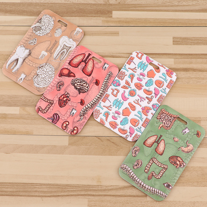 ER1744 Човешки орган Медицинска серия Държач за лична карта Държач за автобусна карта Държач за карта на персонала Връзка за ключ Телефон Направи си сам Въже за окачване за лекар, медицинска сестра