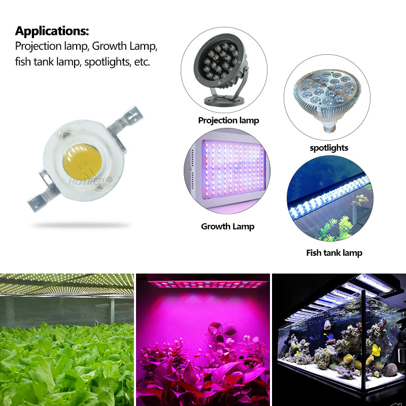 Τσιπ λυχνίας LED COB 1W 3W Υψηλής ισχύος LED Ζεστό Κρύο Λευκό 450nm Χάντρες Mini Blub Diode SMD For DIY Floodlight Spotlight Plant Grow