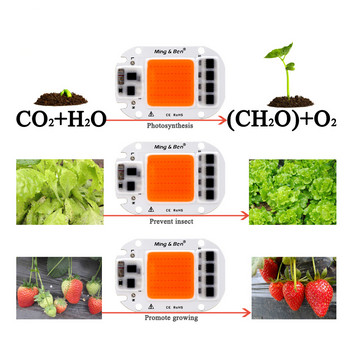 LED COB Chip Grow Light Lamp Пълен спектър 230V 110V 20W 30W 50W Направи си сам за осветление за отглеждане на разсад на закрито и за растеж на цветя