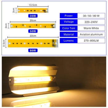 LED COB Chip 30W 50W 80W για Flood Light 220V Κρύο/Ζεστό λευκό λαμπτήρα LED Spotlight Full Spectrum Grow Light for Flower Vegetables