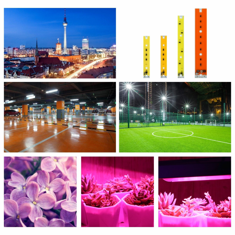 Cip LED COB 30W 50W 80W pentru iluminare de inundație 220V alb rece/cald Lampă LED Spot Lumină de creștere cu spectru complet pentru legume cu flori