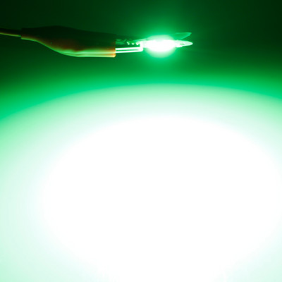 RnnTuu LED chip Nincs szükség illesztőprogramra COB AC 220V 3W 5W 7W 10W 12W nagy fényerejű energiatakarékos barkácsolt reflektoros villanykörte chip