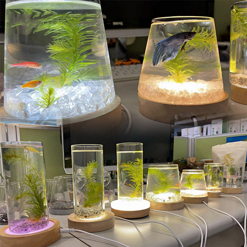 Νέα Ξύλινη Ξύλινη Βάση Φωτισμού LED Dispaly USB Επαναφορτιζόμενη Κρυστάλλινη Γυάλινη Ρητίνη Καλλιτεχνική Διακοσμητική Ξύλινη βάση βάσης λάμπας νύχτας Βάση οθόνης