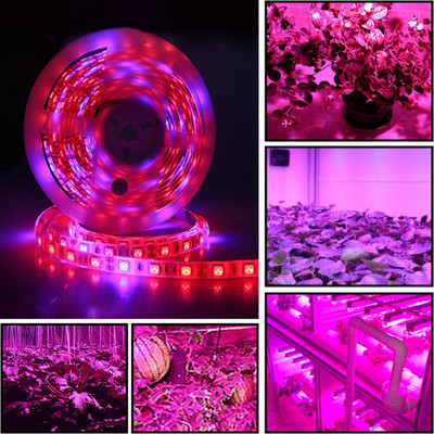 5 бр. Пълен спектър 300LED лентова светлина 5050SMD чип оранжерийна лампа за растеж на растения