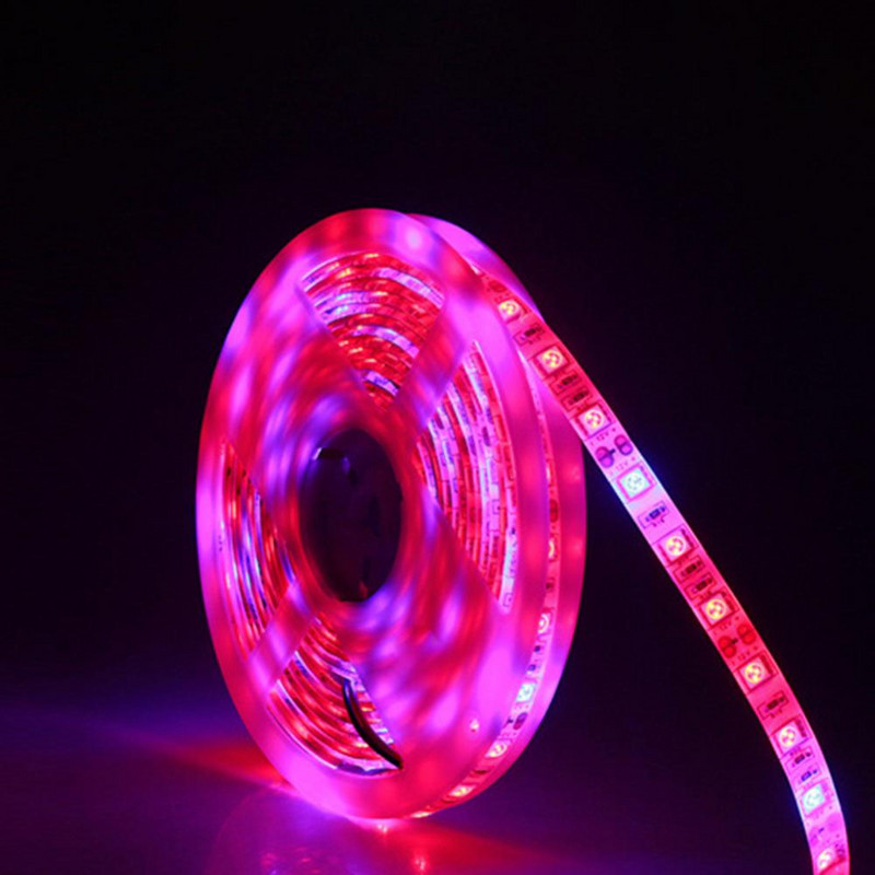 5 бр. Пълен спектър 300LED лентова светлина 5050SMD чип оранжерийна лампа за растеж на растения