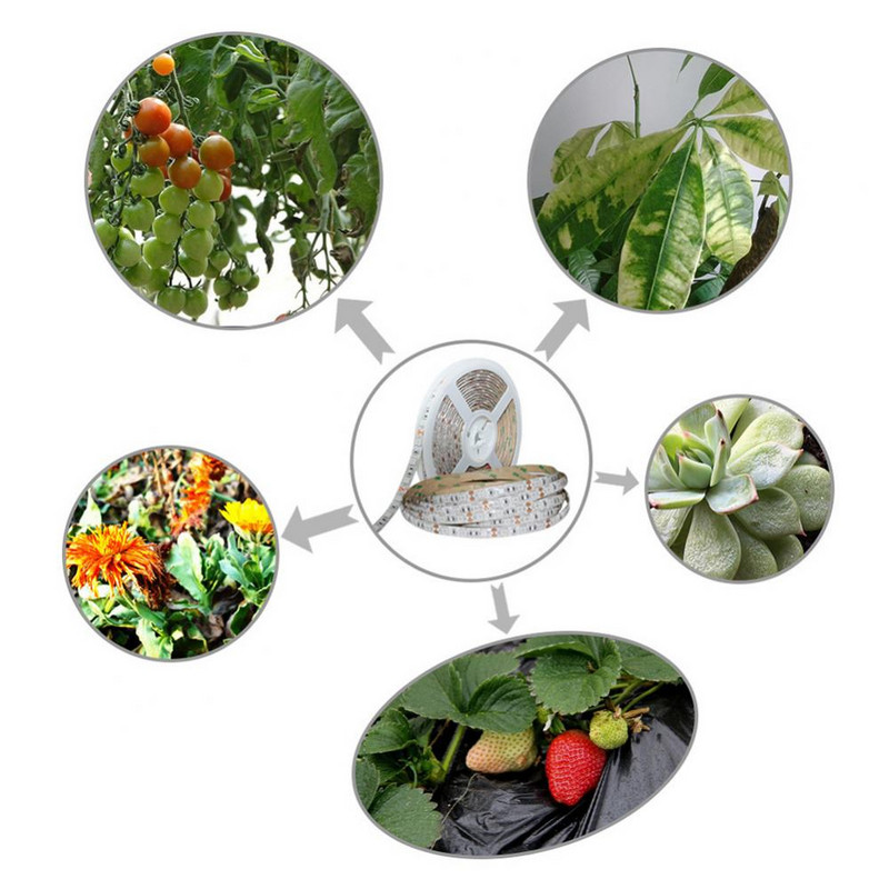 5 бр. Пълен спектър 300LED лентова светлина 5050SMD чип оранжерийна лампа за растеж на растения
