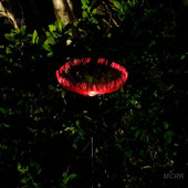 Solarna LED svjetla za meduze Vanjski vrtni dekor Svjetlo za travnjak Trska maslačak Vodootporna terasa Dvorište Staza Dekoracija Solarna lampa za cvijeće