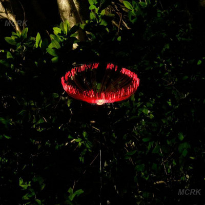 Lumini solare cu LED-uri pentru meduze Decor pentru grădină în aer liber Lumină pentru gazon Tres Păpădie Impermeabil pentru curte Decor de cărare Lampă cu flori solare