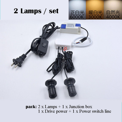 2 kom/set LED mini reflektori Unutarnja svjetla za slike Rasvjeta umjetnina Stropna svjetiljka s napajanjem i razvodna kutija Zidna svjetla