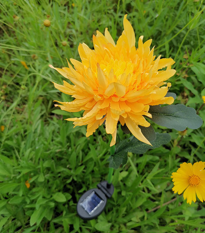 LED saulės Azalijos gėlės Sodo lempa Kraštovaizdis Orchidėjų Rožių Šviestuvų Sodo vejos takas Šventiniai Vestuviniai Šviestuvai Namų dekoratyvinė šviesa