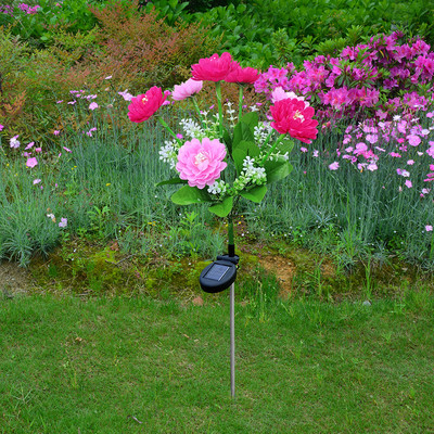 7 peaga LED päikeseenergia simulatsiooniga roosilillevalgusti kodu dekoratiivne orhidee aiakaunistus murulamp veekindel maastikuvalgusti