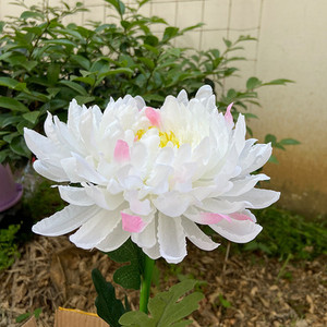 Napelemes krizantém kültéri kerti pázsit lámpa IP65 vízálló virágok ösvény lámpa terasz udvar zöldséges kert ünnepi dekoráció