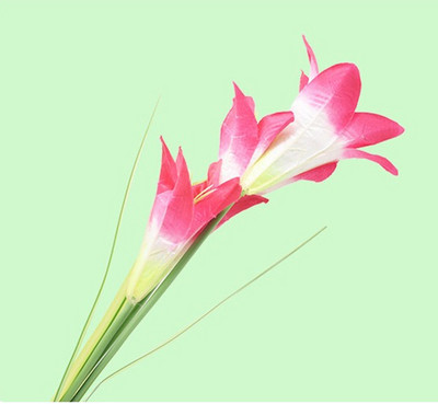 Āra saules dārza gaisma Ūdensnecaurlaidīga LED baltas gaismas zāliena gaismas 3 Liliju pasaku gaismas Ziemassvētku rotājuma dārza gaismas