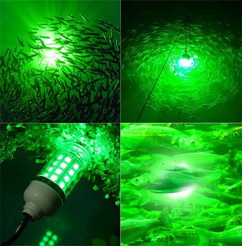 Φωτιστικό LED Ψαρέματος Υποβρύχιο Φωτιστικό Ψαριών AC/DC12V Ip68 Bait Spotter Lights Ελκυστικό δέλεαρ για συλλογή γαρίδων Καλαμάρι Κριλ Πολύχρωμο