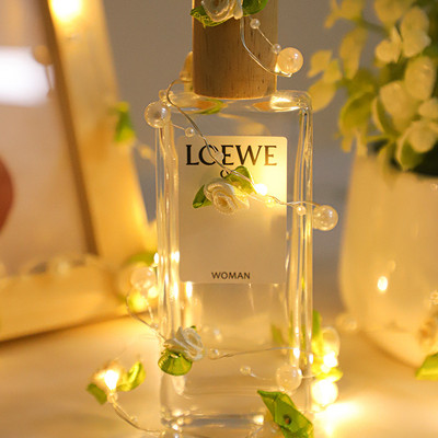 Új gyöngyös LED-füzér Tündérfények 2M/3M Festoon Led Light elemes füzér, újévi karácsonyi díszek 2021